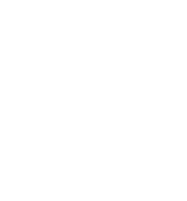 email-subscribe-airplane_AOEN@2x Subscribe to Adventures of Empty Nesters!