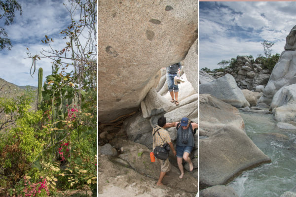 biosphere on the baja peninsula