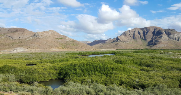 baja peninsula