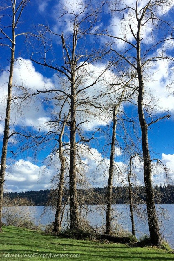 Seward Park Seattle