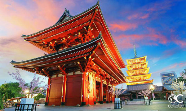 Japan with Collette Travel 