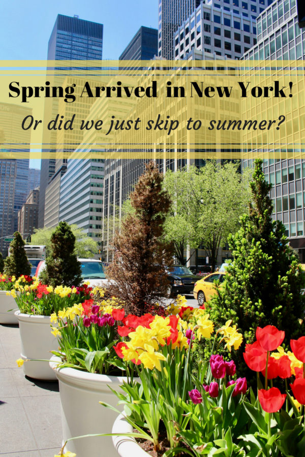 Spring in New York