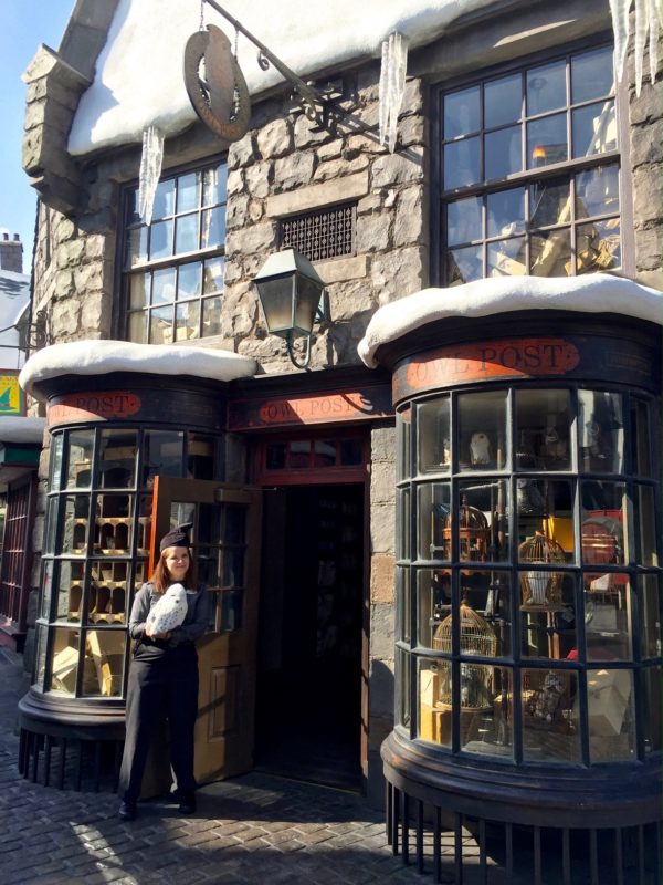 Harry Potter at Universal Studios