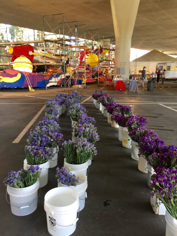 rose parade float