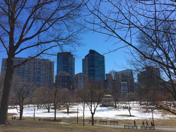 A view of the Boston city buildings from the the park