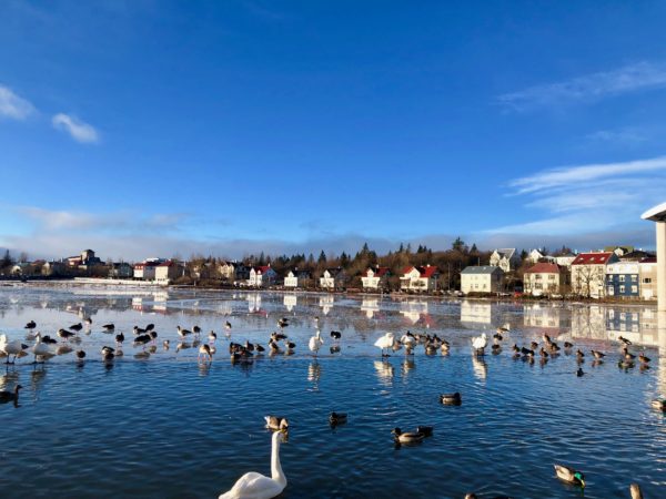 tour of iceland