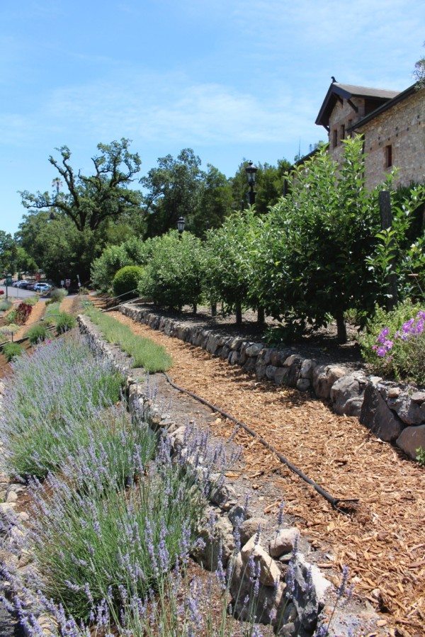 A kitchen garden at Greystone