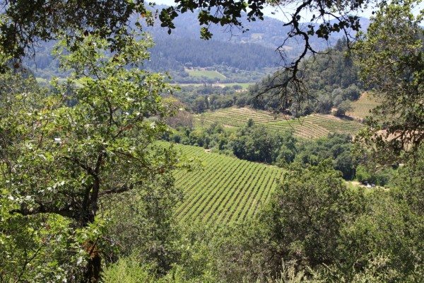 A lovely view of the Nap Valley from a country road.