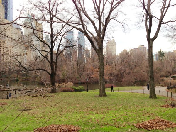 afternoon in New York City