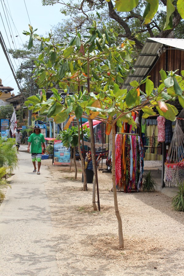 Downtown Tamarindo, Costa Rica