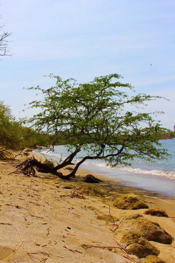 Beaches of Costa Rica