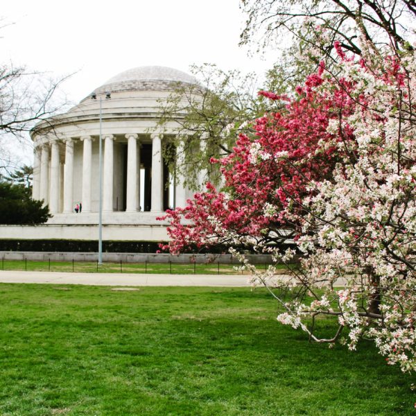 best things to do in Washington D.C.