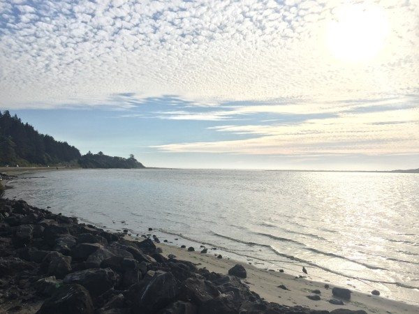 Along the Oregon Coast