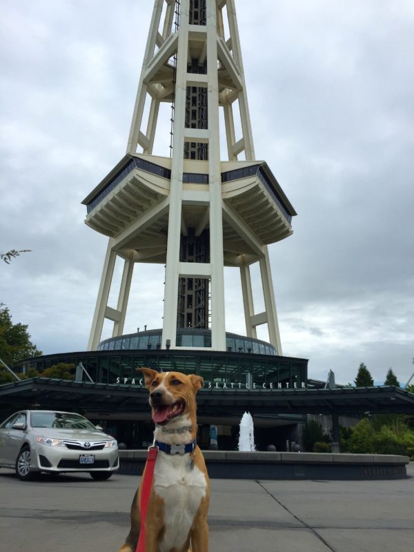 view of the Space Needle