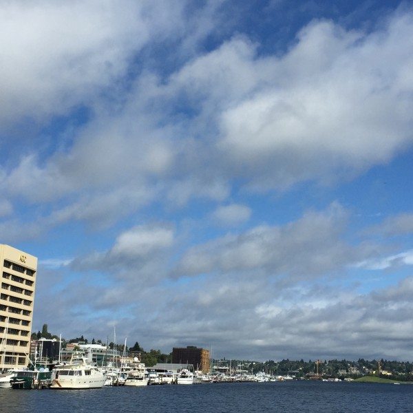 cloudy watcher at Lake Union