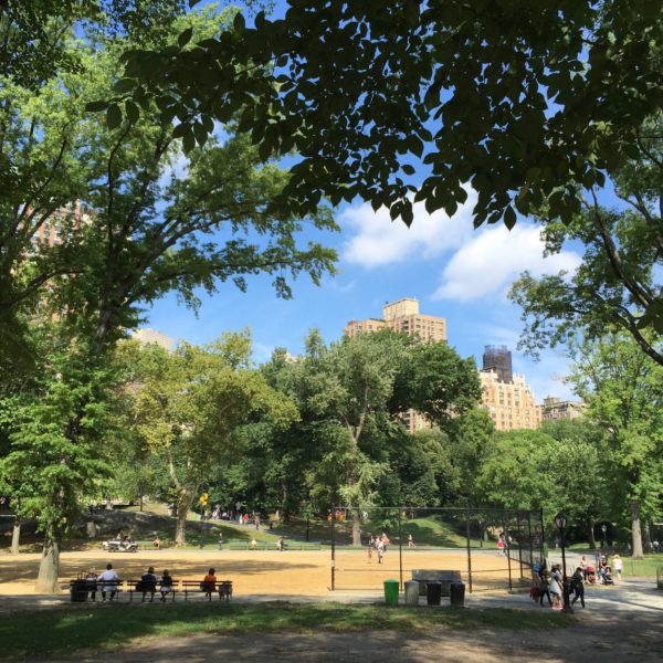 a walk through Central Park