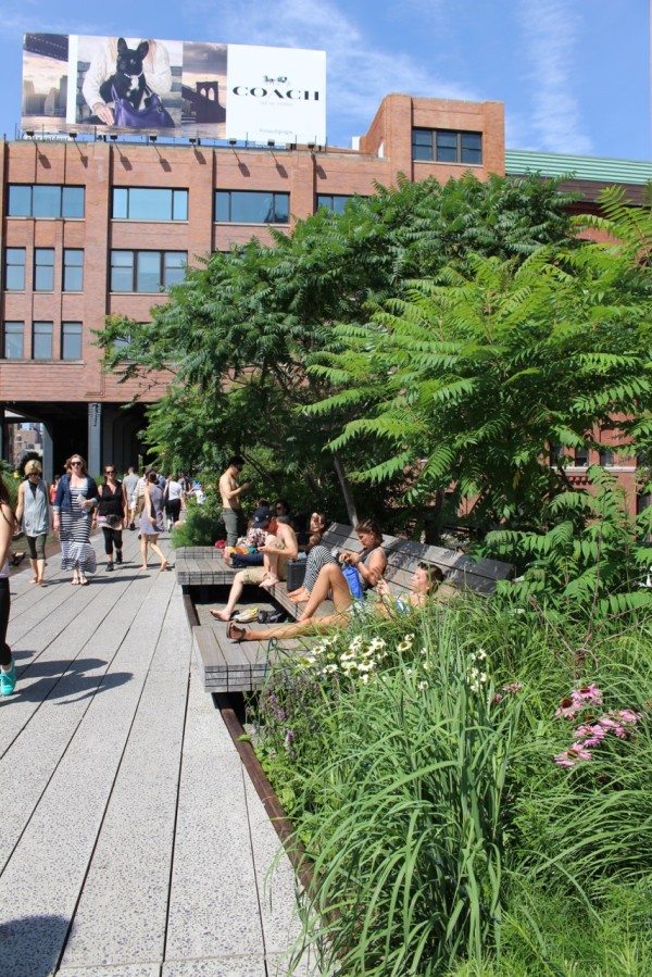 Relax on the lounge chairs at the High Line