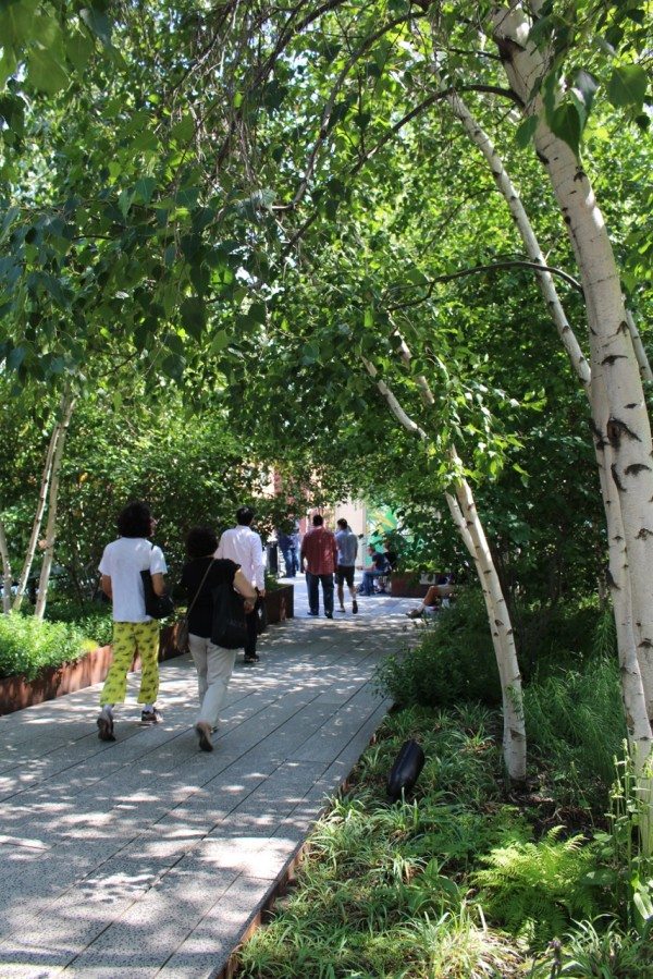 A visit along the High Line 