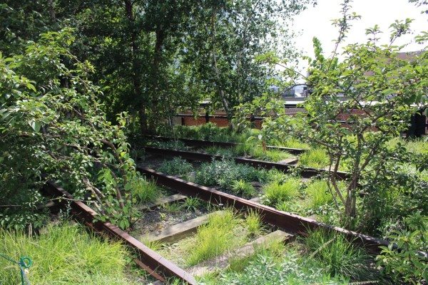 A visit to the High Line