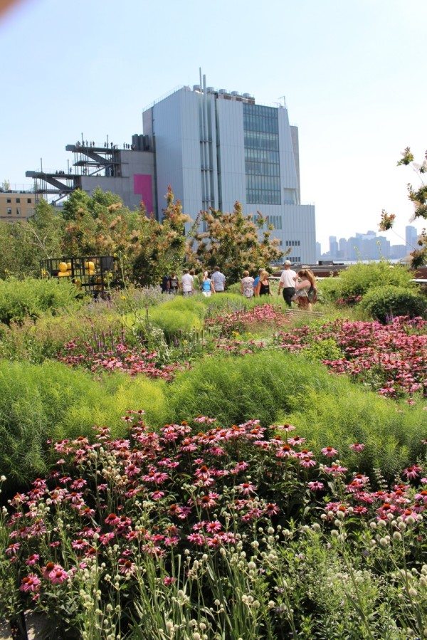 Walking along the High Line 