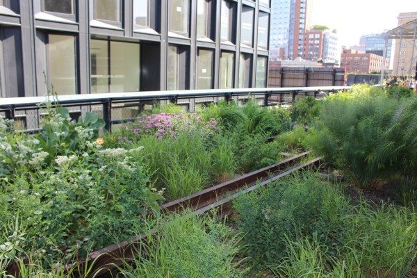 Walking along The High Line