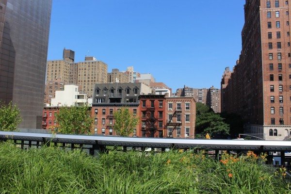 A view of NYC from The High Line