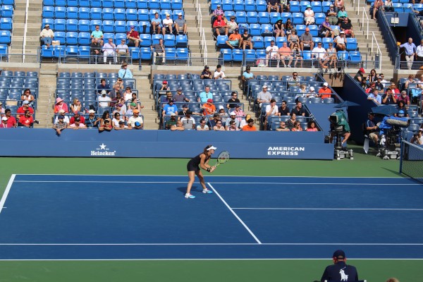 Five time Grand Slam Champion Marina Hingis playing tennis