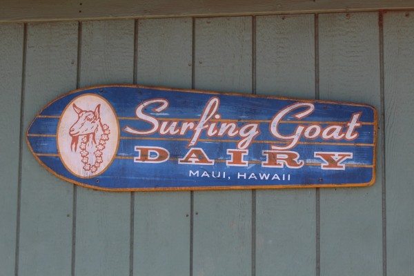 Surfing Goat Dairy