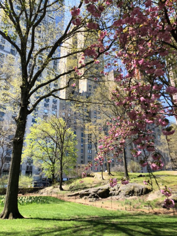 Spring in New York