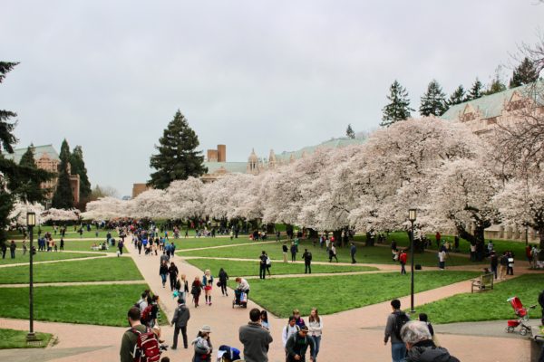 spring flower display