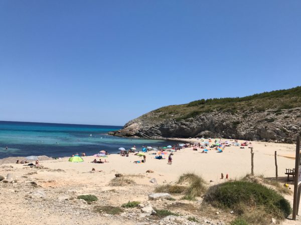 day trips in Mallorca