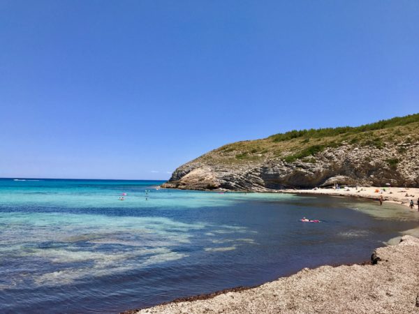 day trips in Mallorca