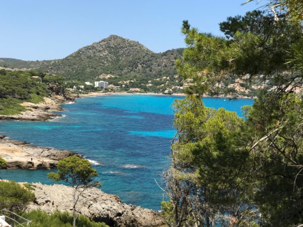 day trips in Mallorca