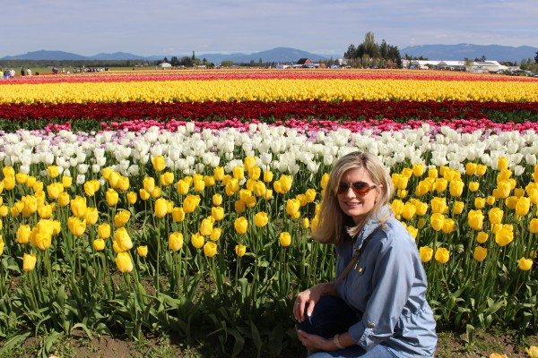 tulip fields in Washington