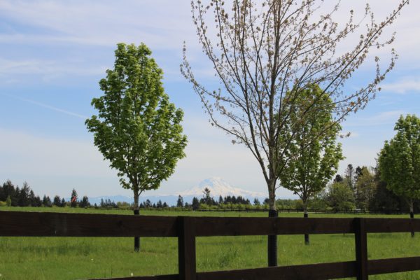 Vashon Island with View of Mr Ranier