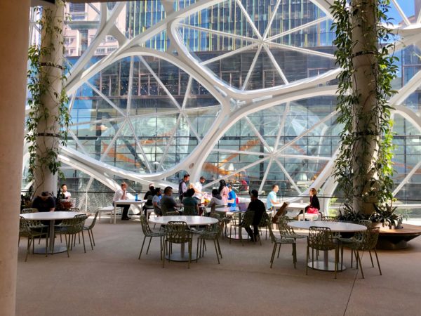 The Amazon Spheres