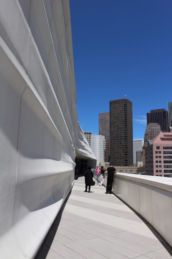 a visit to SFMoMA