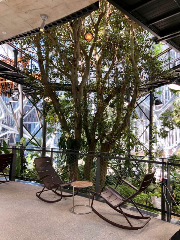 The Amazon Spheres