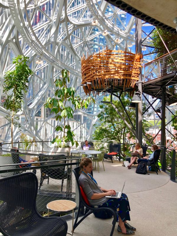 The Amazon Spheres