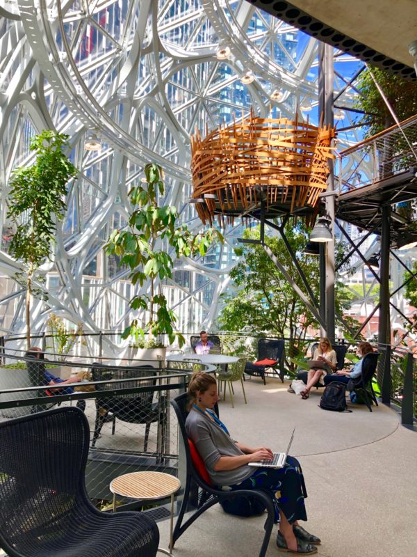 Image result for Amazon Spheres