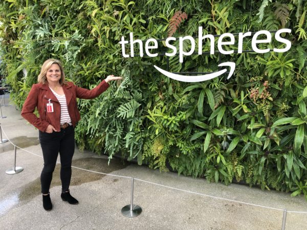 The Amazon Spheres