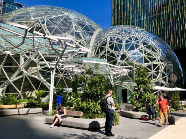 The Amazon Spheres