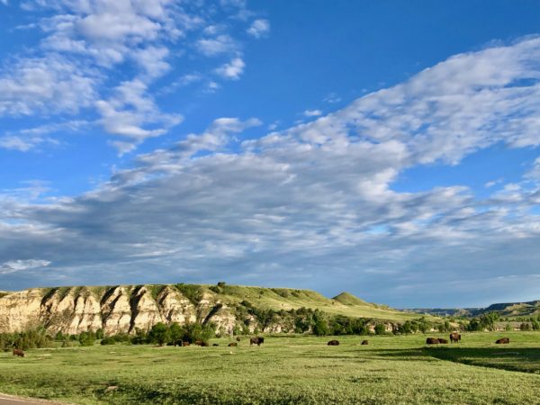 visit to Medora North Dakota