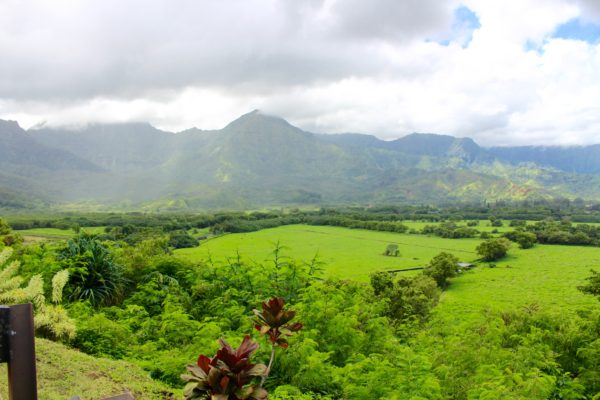 day trip in kauai