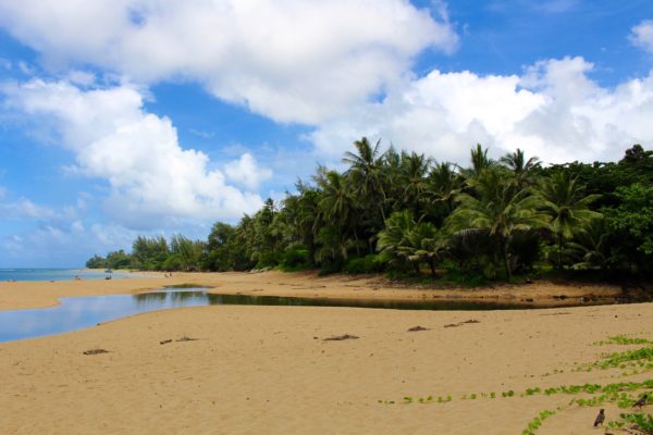 day trip in kauai