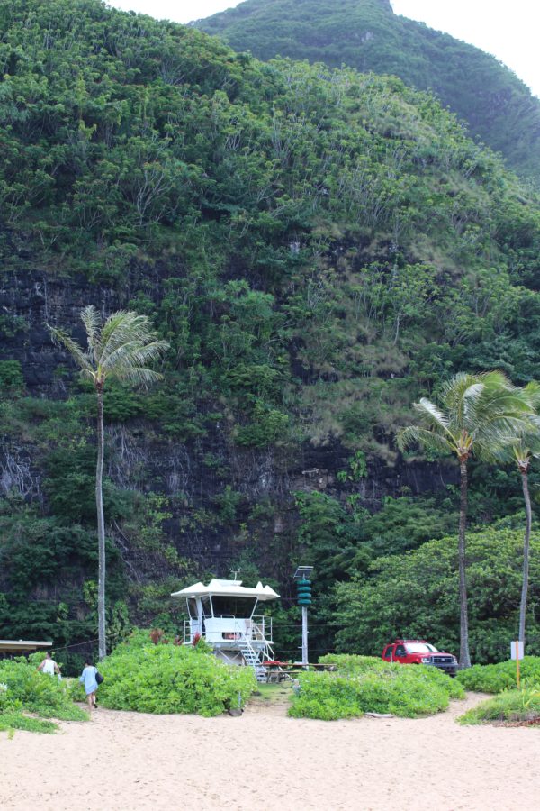 day trip in kauai