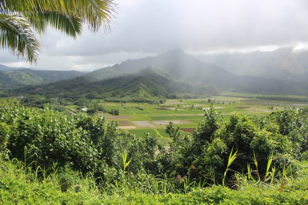 Kauai