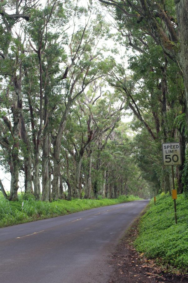 day trip in kauai