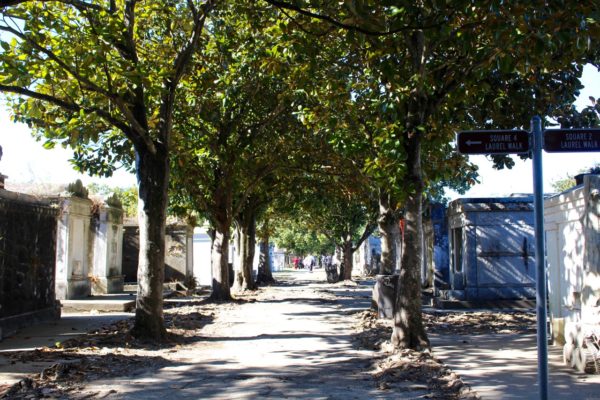 A view in to the Lafayette Cemetery