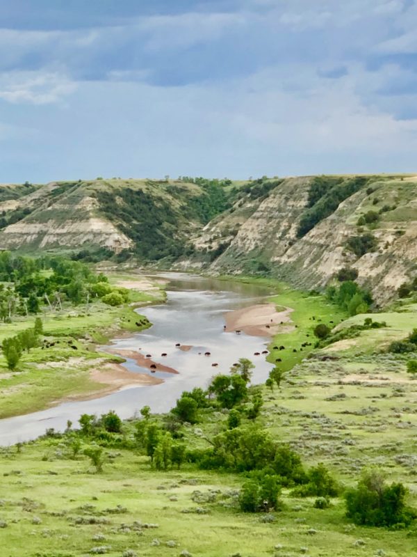 a trip to Theodore Roosevelt National Park